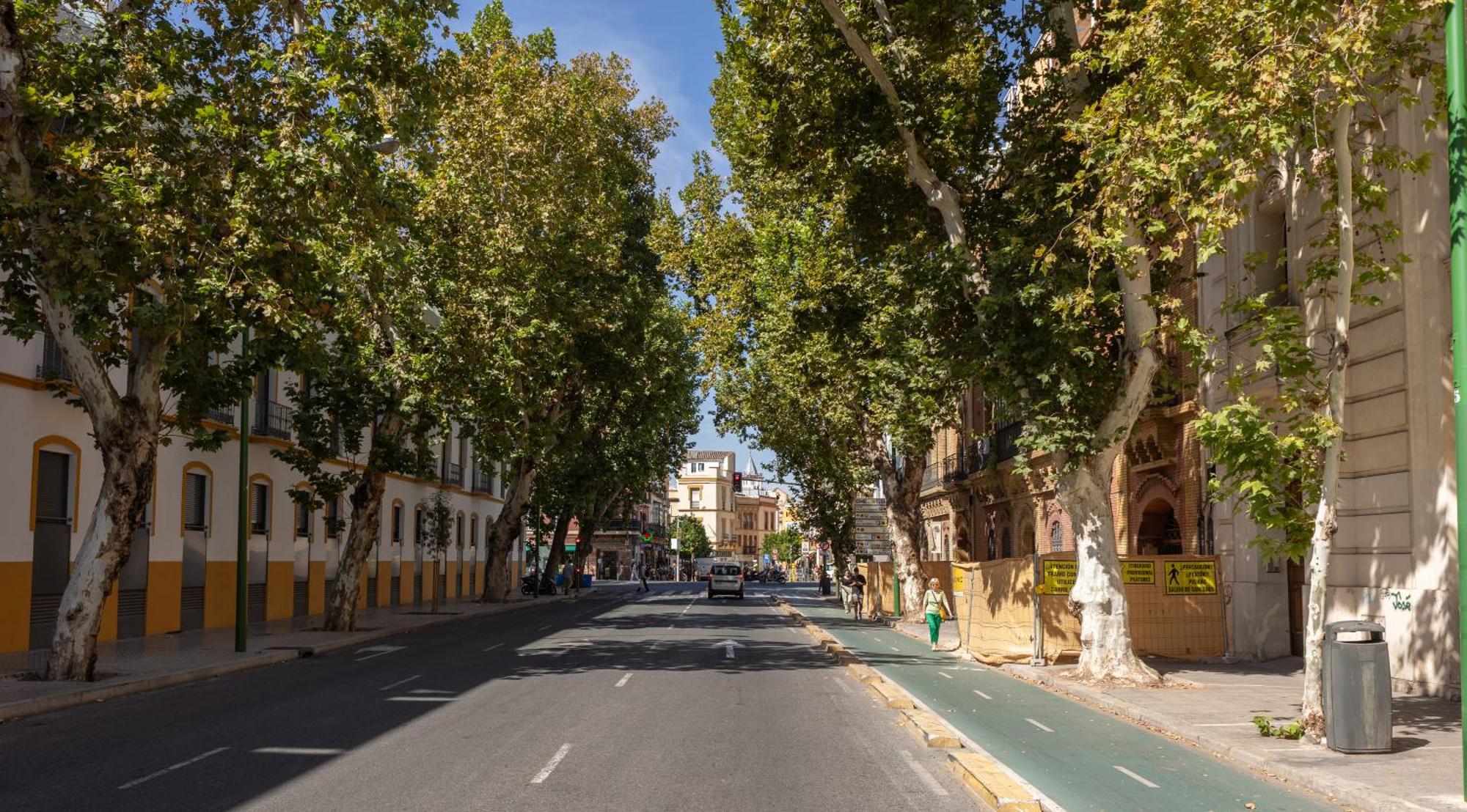 Charming 2 Bedroom At Center By Ocityzen Seville